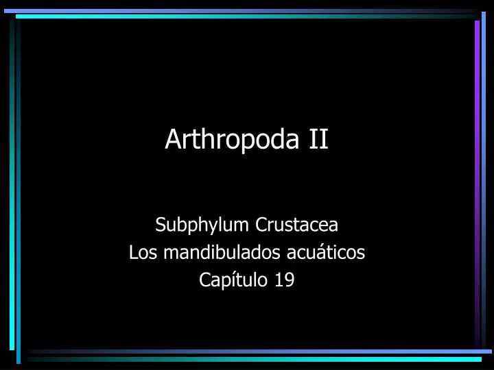 arthropoda ii