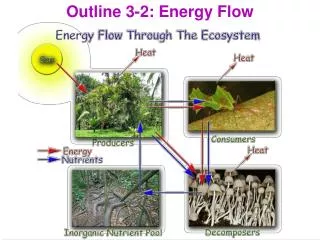 Outline 3-2: Energy Flow