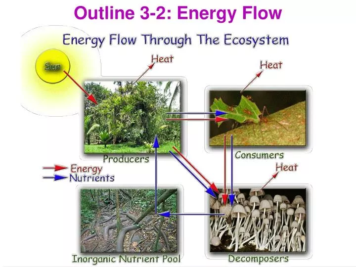 outline 3 2 energy flow