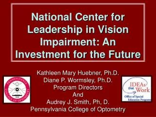 National Center for Leadership in Vision Impairment: An Investment for the Future
