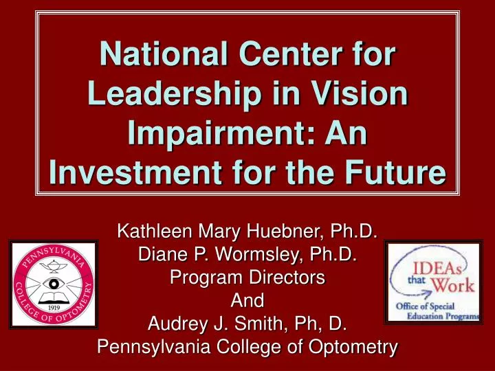 national center for leadership in vision impairment an investment for the future