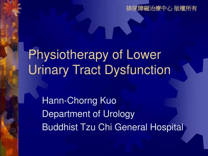 physiotherapy of lower urinary tract dysfunction