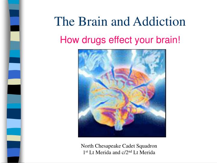 the brain and addiction