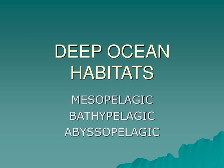 deep ocean habitats