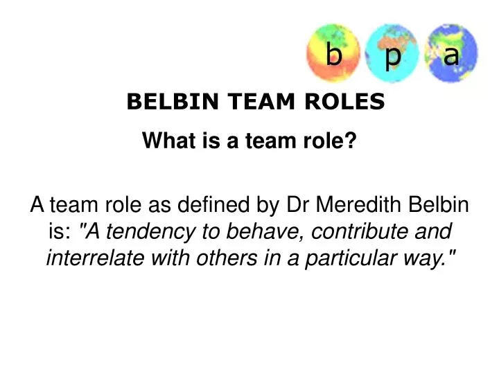 belbin team roles