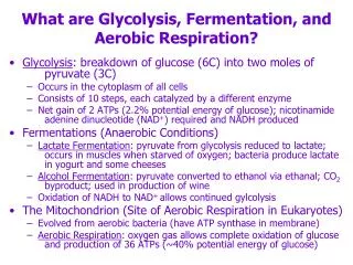 What are Glycolysis, Fermentation, and Aerobic Respiration?