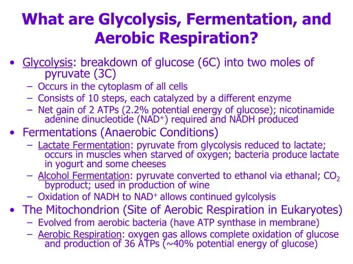 what are glycolysis fermentation and aerobic respiration