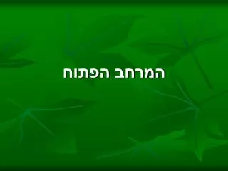 המרחב הפתוח