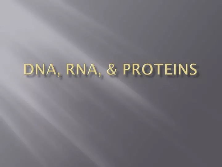 dna rna proteins