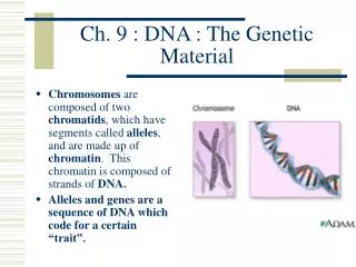 Ch. 9 : DNA : The Genetic Material