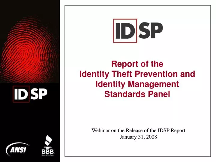 report of the identity theft prevention and identity management standards panel