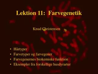 lektion 11 farvegenetik