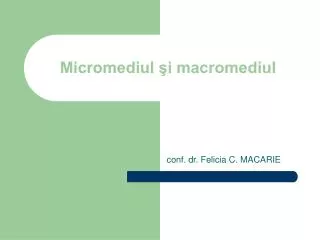 Micromediul şi macromediul