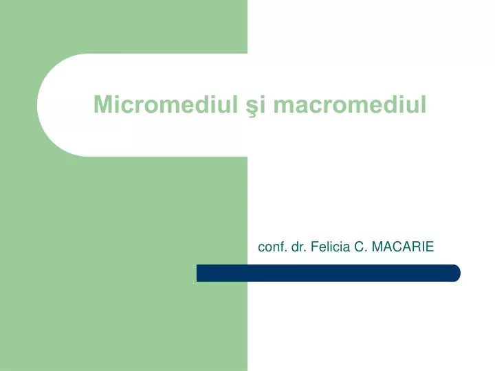 micromediul i macromediul