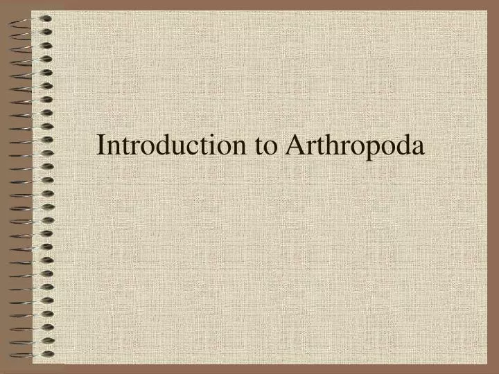 introduction to arthropoda
