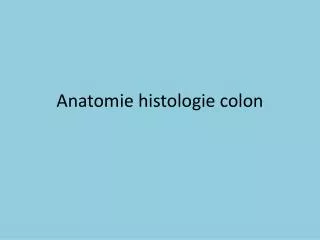 anatomie histologie colon