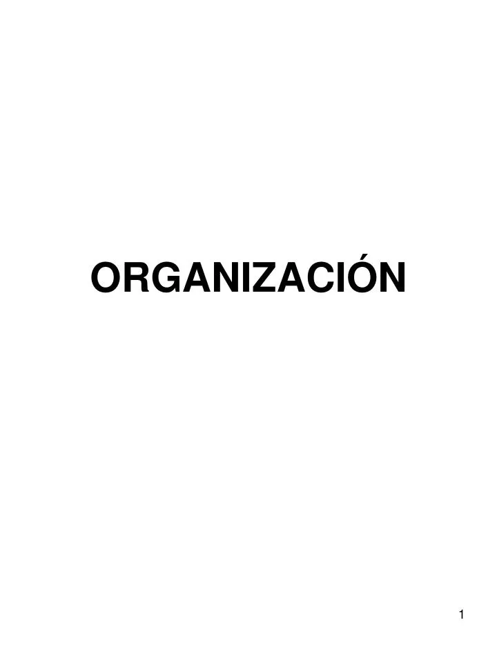 organizaci n