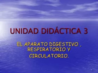 unidad did ctica 3