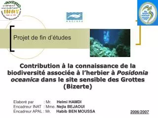 Contribution à la connaissance de la biodiversité associée à l’herbier à Posidonia oceanica dans le site sensible des