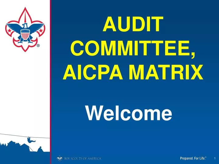 audit committee aicpa matrix