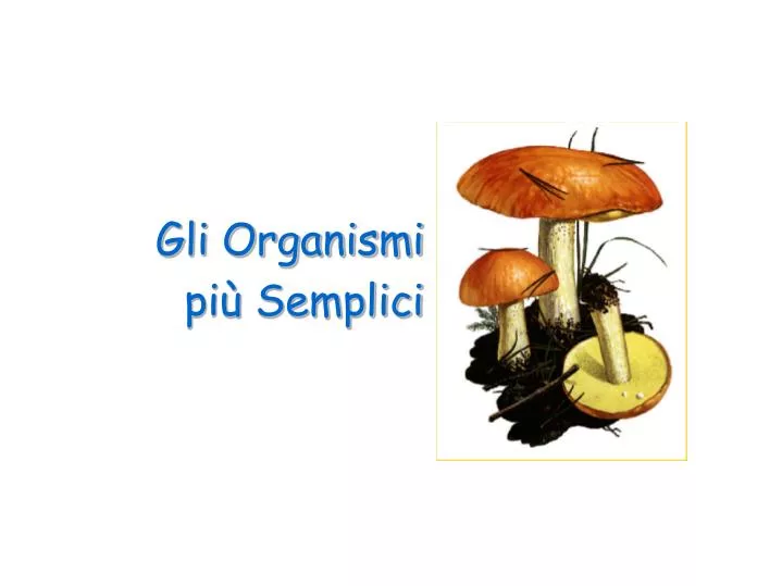 gli organismi pi semplici