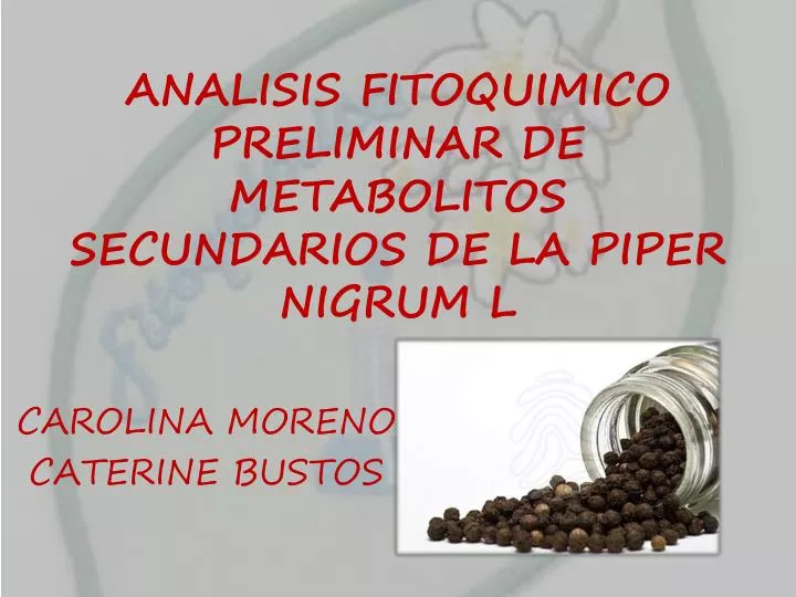 analisis fitoquimico preliminar de metabolitos secundarios de la piper nigrum l