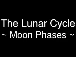 The Lunar Cycle ~ Moon Phases ~