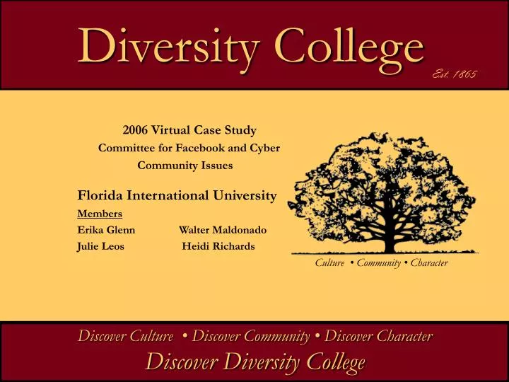 diversity college