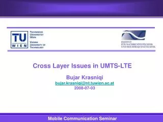 Cross Layer Issues in UMTS-LTE