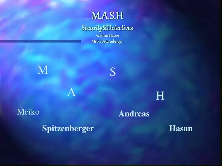 m a s h security detectives andreas hasan meiko spitzenberger