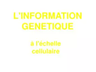 L'INFORMATION GENETIQUE
