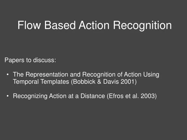 flow based action recognition