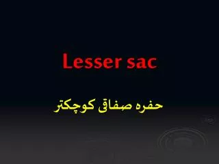 Lesser sac