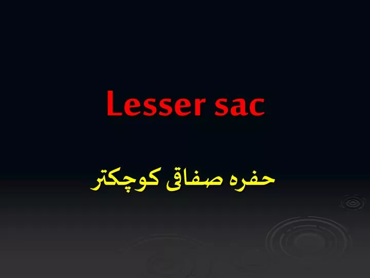 lesser sac