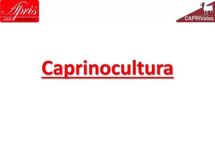 caprinocultura