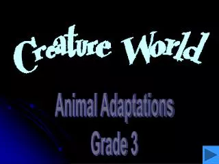 Animal Adaptations Grade 3
