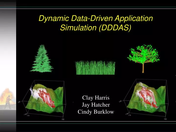 dynamic data driven application simulation dddas