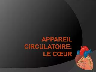 appareil circulatoire le c ur
