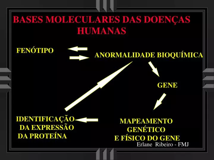 bases moleculares das doen as humanas
