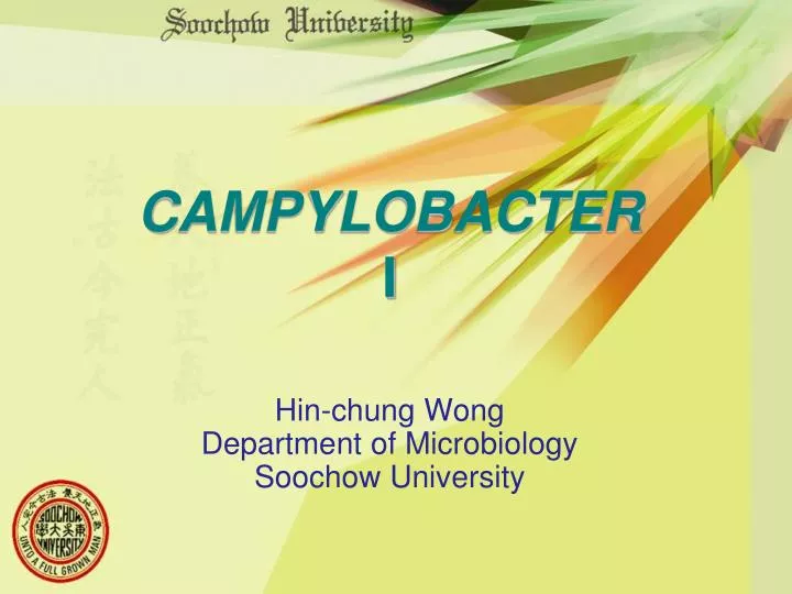 campylobacter i