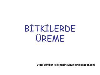 b tk lerde reme