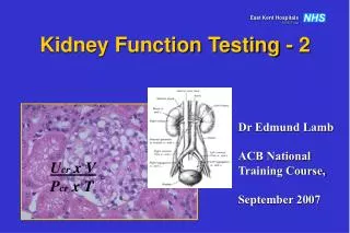 Kidney Function Testing - 2