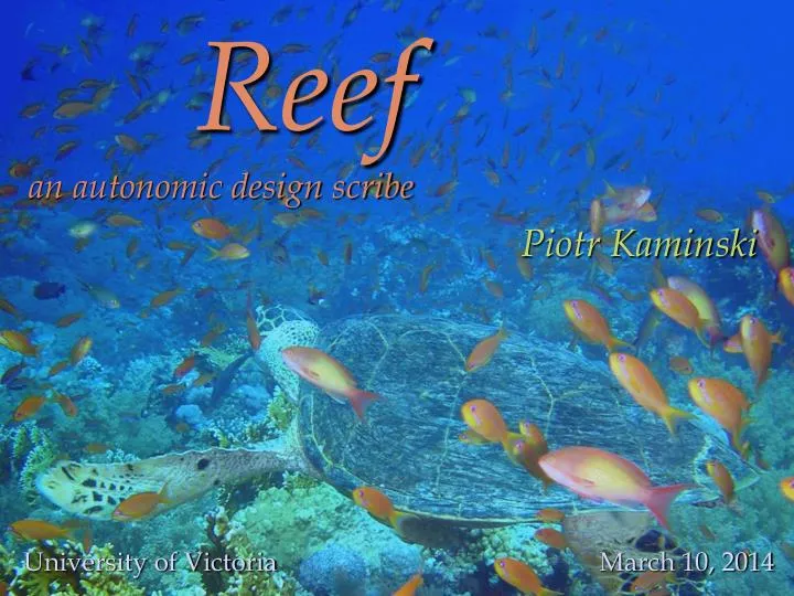reef an autonomic design scribe