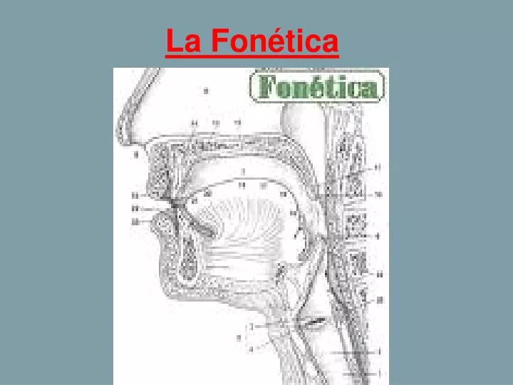 la fon tica