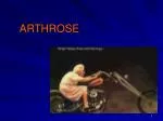 ARTHROSE - slide 1