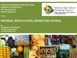 THREE-YEAR STRATEGIC PLAN (2010-2013) BUSINESS PLAN (2010/11) HR PLAN (2010/11) BUDGET (2010/11) for the NATIONAL AGRIC