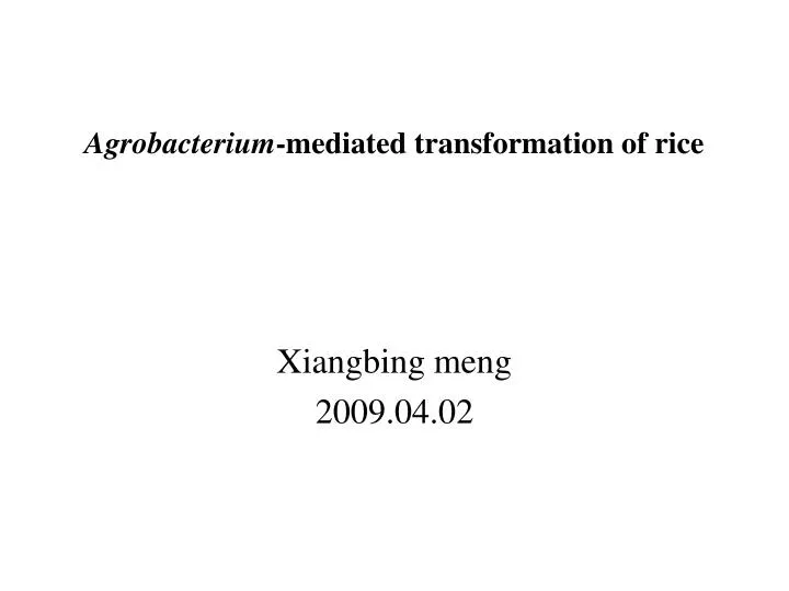 agrobacterium mediated transformation of rice