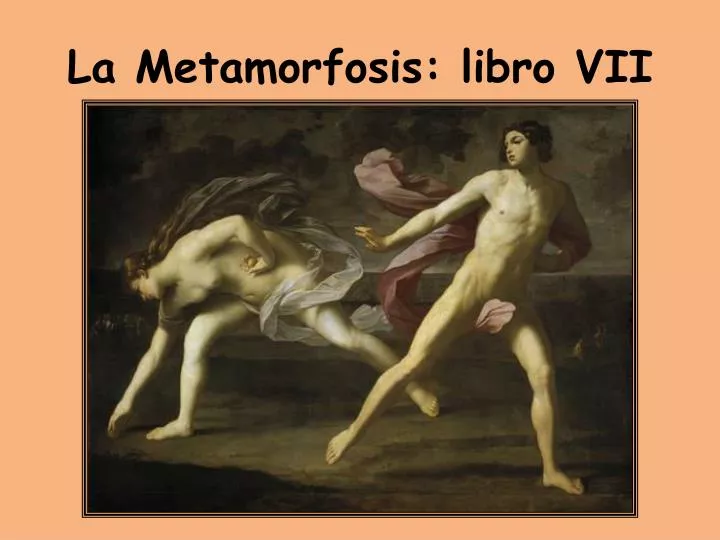 la metamorfosis libro vii