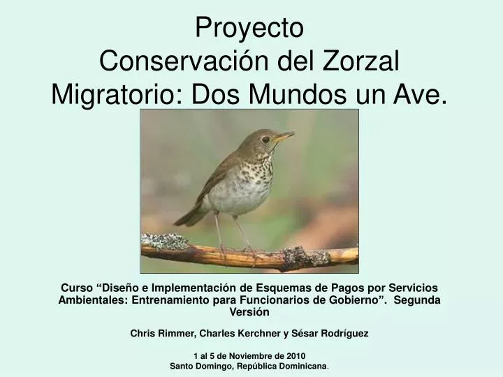 proyecto conservaci n del zorzal migratorio dos mundos un ave