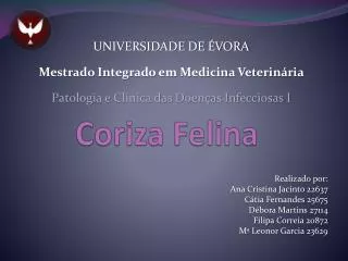 coriza felina